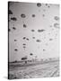 Parachute Troop Landing-Jack Lartz-Stretched Canvas