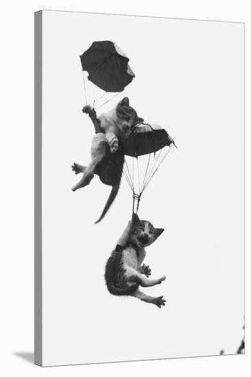 Parachuting Kittens-null-Stretched Canvas