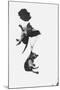 Parachuting Kittens-null-Mounted Photographic Print