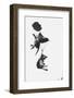 Parachuting Kittens-null-Framed Photographic Print