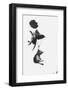 Parachuting Kittens-null-Framed Photographic Print