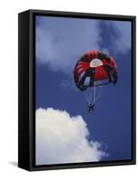 Parachuting-null-Framed Stretched Canvas