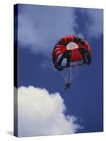 Parachuting-null-Stretched Canvas