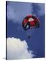 Parachuting-null-Stretched Canvas