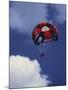 Parachuting-null-Mounted Premium Photographic Print