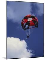 Parachuting-null-Mounted Photographic Print