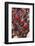 Parade at Dinagyang Festival, City of Iloilo, Philippines-Keren Su-Framed Photographic Print