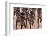 Parade at Dinagyang Festival, City of Iloilo, Philippines-Keren Su-Framed Photographic Print