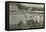 Parade at the Cavalry School in Saumur. Postcard Sent in 1913-French Photographer-Framed Stretched Canvas