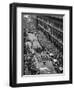 Parade at the Cenotaph, Martin Place, Sydney, New South Wales, 1945 or 1946-null-Framed Giclee Print