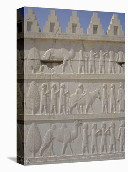 Parade of Nations Carving, Apadana Palace Staircase, Archaeological Site, Iran, Middle East-David Poole-Stretched Canvas