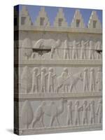 Parade of Nations Carving, Apadana Palace Staircase, Archaeological Site, Iran, Middle East-David Poole-Stretched Canvas