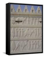 Parade of Nations Carving, Apadana Palace Staircase, Archaeological Site, Iran, Middle East-David Poole-Framed Stretched Canvas