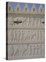 Parade of Nations Carving, Apadana Palace Staircase, Archaeological Site, Iran, Middle East-David Poole-Stretched Canvas