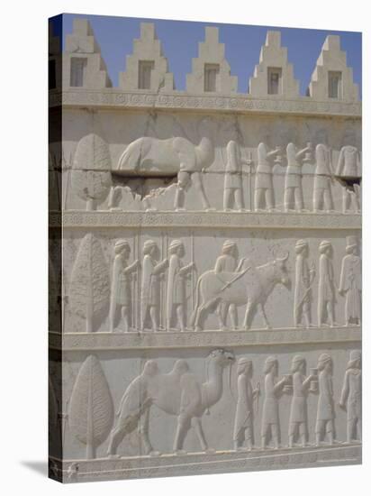 Parade of Nations Carving, Apadana Palace Staircase, Archaeological Site, Iran, Middle East-David Poole-Stretched Canvas