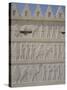 Parade of Nations Carving, Apadana Palace Staircase, Archaeological Site, Iran, Middle East-David Poole-Stretched Canvas