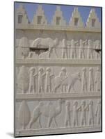 Parade of Nations Carving, Apadana Palace Staircase, Archaeological Site, Iran, Middle East-David Poole-Mounted Photographic Print