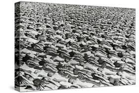 Parade of the Young Communists, Moscow, USSR, 1930S-null-Stretched Canvas