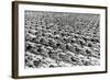 Parade of the Young Communists, Moscow, USSR, 1930S-null-Framed Giclee Print