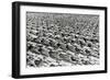 Parade of the Young Communists, Moscow, USSR, 1930S-null-Framed Giclee Print