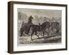 Parade of Thoroughbred Sires after the Yearling Sale at Middle Park, Eltham-Samuel John Carter-Framed Giclee Print