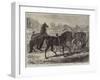 Parade of Thoroughbred Sires after the Yearling Sale at Middle Park, Eltham-Samuel John Carter-Framed Giclee Print