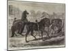 Parade of Thoroughbred Sires after the Yearling Sale at Middle Park, Eltham-Samuel John Carter-Mounted Giclee Print