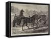 Parade of Thoroughbred Sires after the Yearling Sale at Middle Park, Eltham-Samuel John Carter-Framed Stretched Canvas