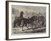 Parade of Thoroughbred Sires after the Yearling Sale at Middle Park, Eltham-Samuel John Carter-Framed Giclee Print