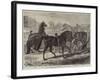 Parade of Thoroughbred Sires after the Yearling Sale at Middle Park, Eltham-Samuel John Carter-Framed Giclee Print