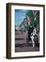 Parade with coach, London, United Kingdom of Great Britain-null-Framed Art Print