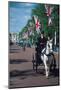 Parade with coach, London, United Kingdom of Great Britain-null-Mounted Art Print
