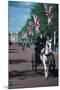 Parade with coach, London, United Kingdom of Great Britain-null-Mounted Art Print