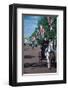 Parade with coach, London, United Kingdom of Great Britain-null-Framed Art Print