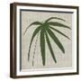 Paradis II-Susan Jill-Framed Art Print