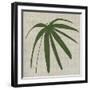 Paradis II-Susan Jill-Framed Art Print