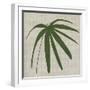 Paradis II-Susan Jill-Framed Art Print