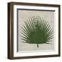 Paradis IV-Susan Jill-Framed Art Print