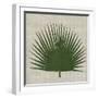 Paradis IV-Susan Jill-Framed Art Print