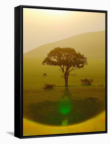 Paradise after the rain, Chyulu Hills, 2018-Eric Meyer-Framed Stretched Canvas