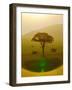 Paradise after the rain, Chyulu Hills, 2018-Eric Meyer-Framed Photographic Print