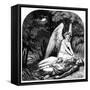 Paradise and the Peri-John Tenniel-Framed Stretched Canvas