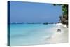 Paradise Beach at Zanzibar in Tanzania, Africa-ppart-Stretched Canvas