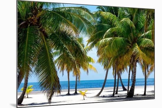 Paradise Beach - Florida - USA-Philippe Hugonnard-Mounted Photographic Print