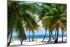 Paradise Beach - Florida - USA-Philippe Hugonnard-Mounted Photographic Print