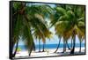 Paradise Beach - Florida - USA-Philippe Hugonnard-Framed Stretched Canvas