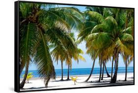 Paradise Beach - Florida - USA-Philippe Hugonnard-Framed Stretched Canvas