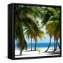 Paradise Beach - Florida - USA-Philippe Hugonnard-Framed Stretched Canvas