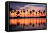 Paradise Beach Sunset or Sunrise with Tropical Palm Trees. Summer Travel Holidays Vacation Getaway-Maridav-Framed Stretched Canvas