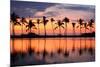 Paradise Beach Sunset or Sunrise with Tropical Palm Trees. Summer Travel Holidays Vacation Getaway-Maridav-Mounted Photographic Print